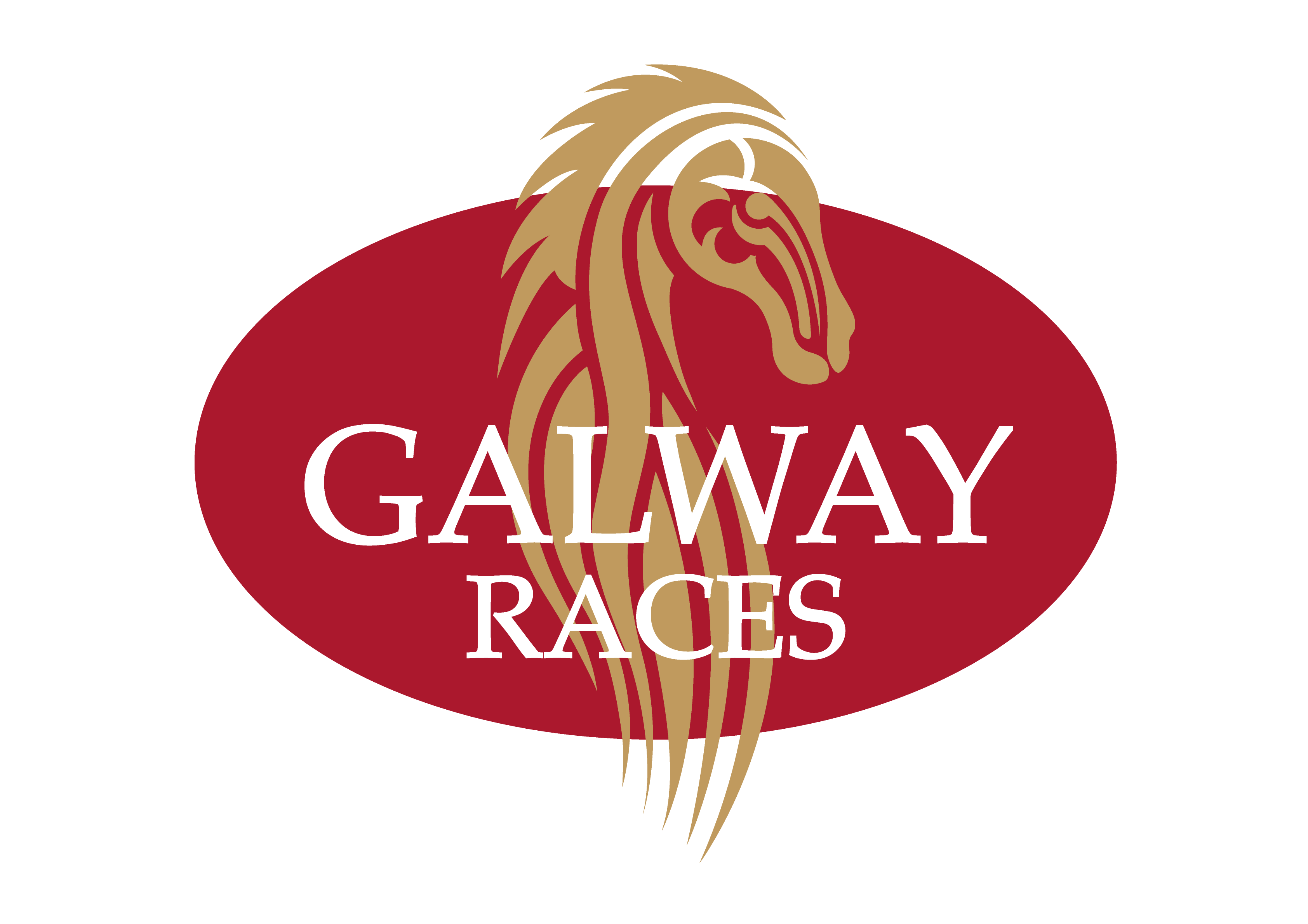 Galway Races Box